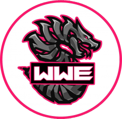 SANDA WWE Logo